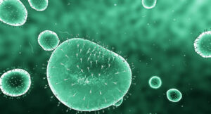 Bio-fermented active ingredients for efficient and eco-conscious cosmetic products